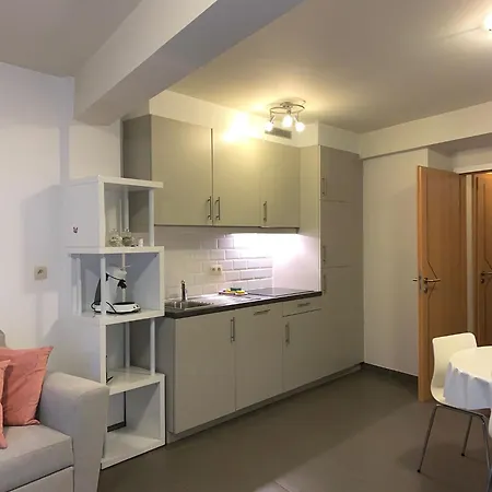 公寓 Stijlvol In Hartje Vlak Bij Het En De Winkelstraat - 6p 奥斯滕德