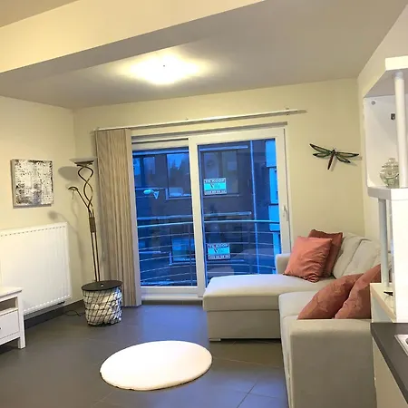 Stijlvol In Hartje Vlak Bij Het En De Winkelstraat - 6p 奥斯滕德